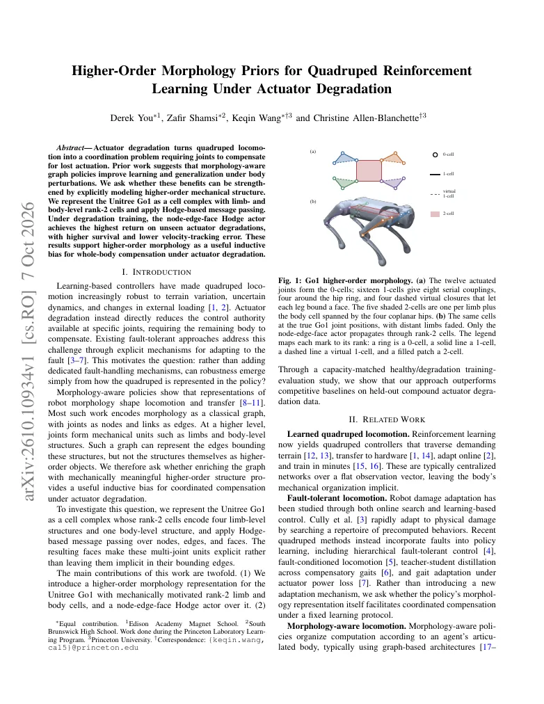 Higher-Order Morphology Priors for Quadruped Reinforcement Learning Under Actuator Degradation visual